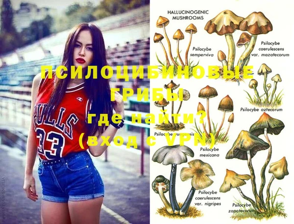 Альфа ПВП Медвежьегорск