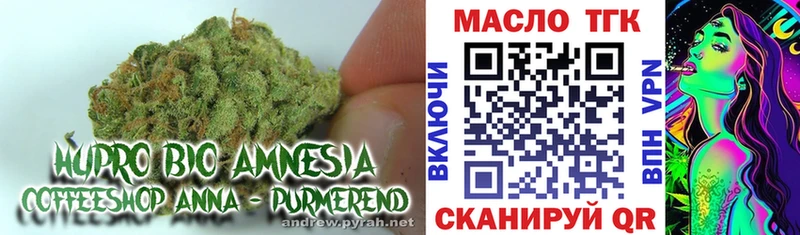 shop Telegram  Могоча  ТГК THC oil 