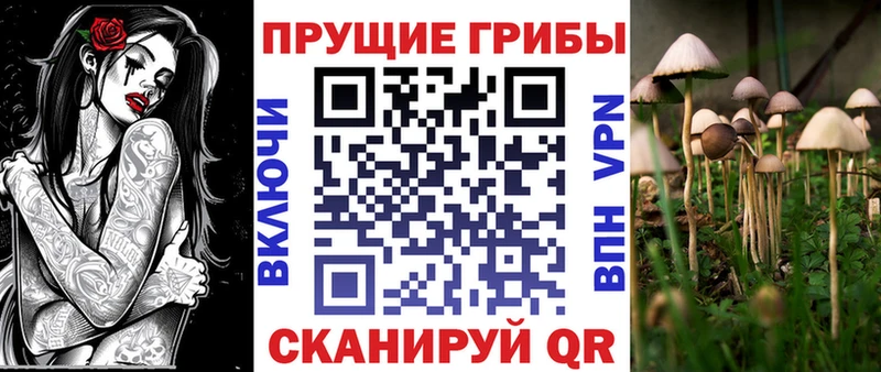 Галлюциногенные грибы Psilocybine cubensis  где продают   Могоча 